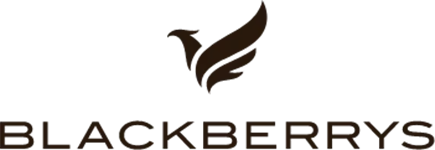 blackberrys Cashback offer - 17% Cashback - Coupon, Discount, Deals, offers for Independence day, Diwali, Holi,  navratri, new year - Buy 1 Get 1 offer, 50% off