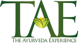 tae logo